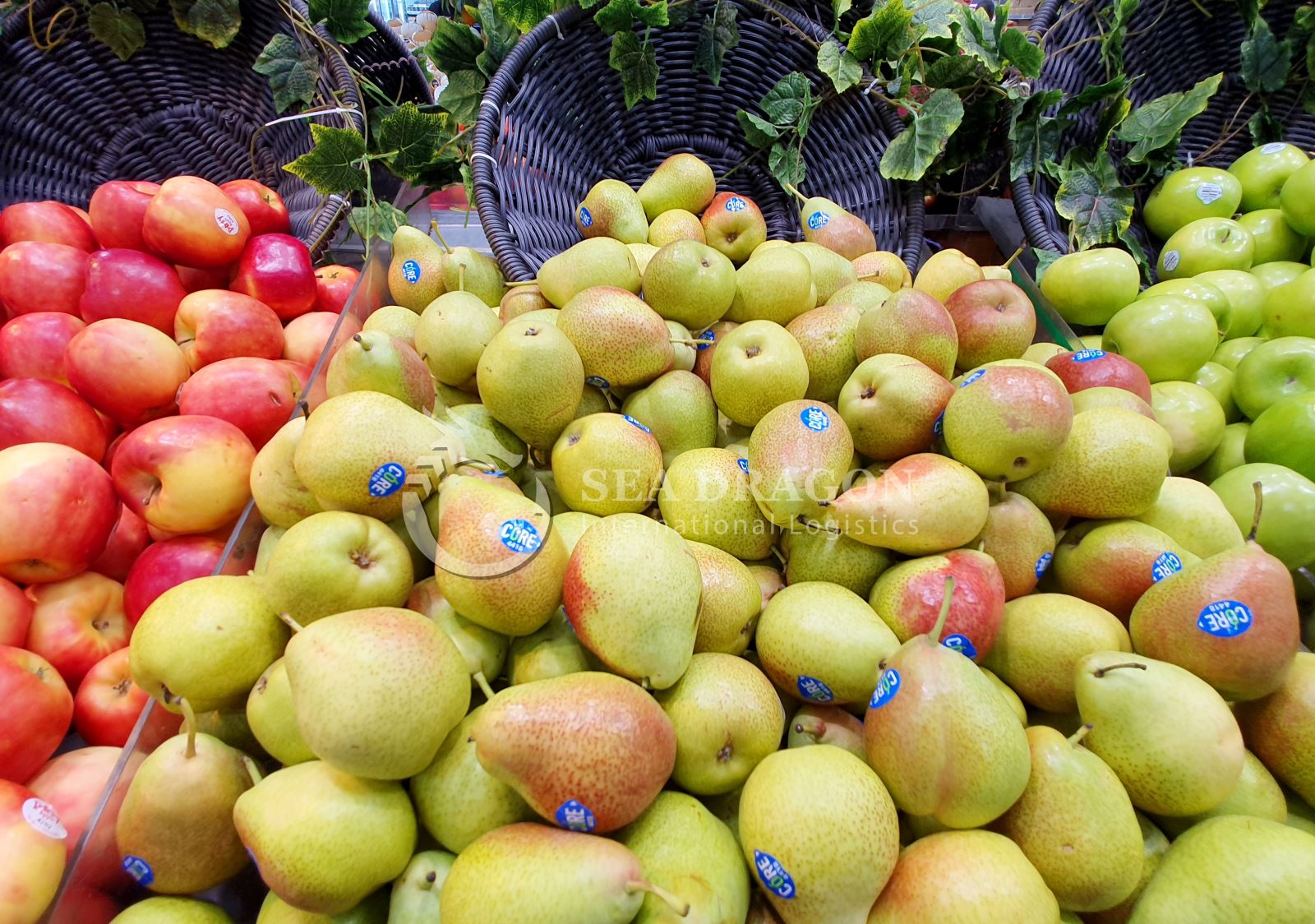 PROCESS OF IMPORTING FOREIGN FRUITS TO VIETNAM